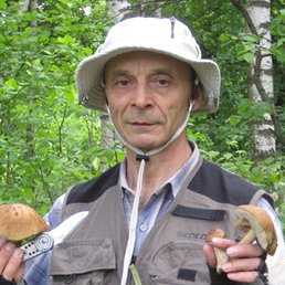 ���������, ������, 79 ���