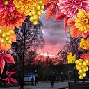 ���� �������, ������, 66 ��� - ��������� 10 ������� 2022 � ������ ���� ����������