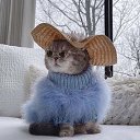 ���� ����, �����-��������� - ��������� 19 ������ 2022