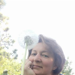 ���� ��������, ������, 59 ��� - ��������� 22 ��� 2022