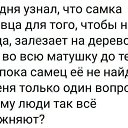 ���� ������, �����, 58 ��� - ��������� 2 ��� 2022 � ������ ���� ����������