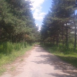 ���� Frend, �����������, 36 ��� - ��������� 12 ������ 2023