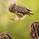 ���� �������, ������, 64 ���� - ��������� 26 ������� 2022 � ������ ������ ��������