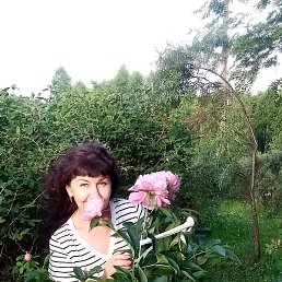 , , 52 
