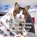 ���� �����, ���������, 38 ��� - ��������� 22 ���� 2022 � ������ ���� ����������