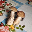 ���� ����., ������, 60 ��� - ��������� 7 ���� 2022 � ������ ���� ����������