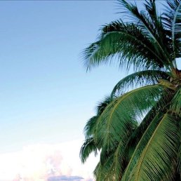 ���� �������, ������, 38 ��� - ��������� 12 �������� 2022