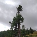 ���� �����, ������, 40 ��� - ��������� 26 ������� 2022 � ������ ������