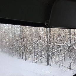 ����, �����������, 52 ����