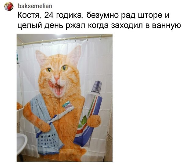 Неужели вы действительно считаете, что