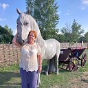 ���� ������, �����, 53 ���� - ��������� 13 ������� 2022 � ������ �������� 2022�