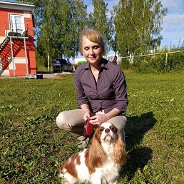 ���� �������, �����, 52 ���� - ��������� 18 ������� 2022