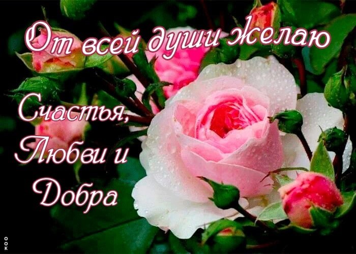   ,    . - 24  2022  14:37
