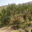 ���� ������, �����-���������, 31 ��� - ��������� 3 ������� 2022 � ������ ���� ����������