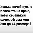 ���� *������*, �������, 51 ��� - ��������� 8 ��� 2022 � ������ ������ ��������