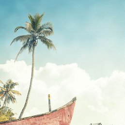 �����, �����-���������, 42 ����