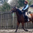 ���� �������, ������, 62 ���� - ��������� 8 ������� 2022 � ������ ���� ����������
