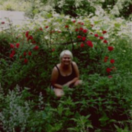 ���� �����, ��������, 41 ��� - ��������� 7 ������ 2022