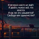 ���� ��������, ������ - ��������� 11 ������� 2022 � ������ ������ ��������