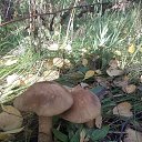���� ������, ������� - ��������� 19 ������ 2022 � ������ ���� ����������