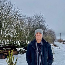 ���� ����, ������, 68 ��� - ��������� 13 ������ 2022