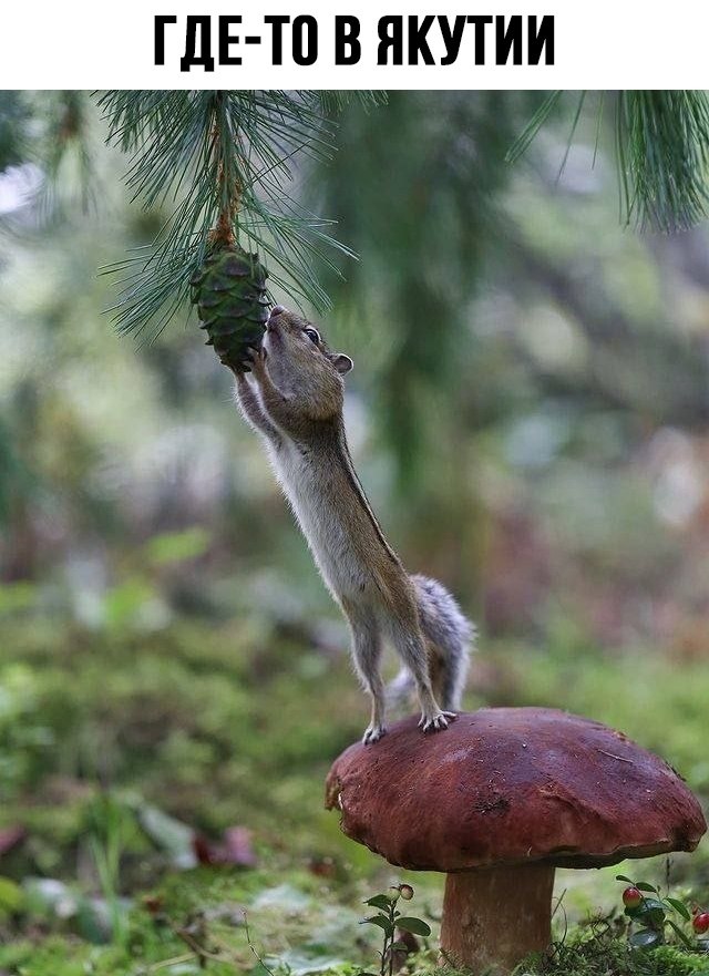 ����� ���������� �� �����! - 15 ��� 2022 � 16:06