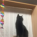 ���� �������, ������, 62 ���� - ��������� 27 ������ 2023 � ������ �2022�