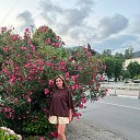  ,  , 42  -  15  2022    