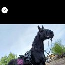 ���� �����, �����������, 46 ��� - ��������� 15 ������� 2023
