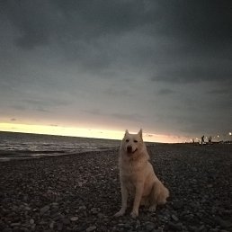 Beso, �������, 27 ���