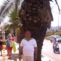 ���� �������, ������, 77 ��� - ��������� 12 ������� 2022