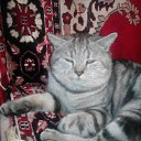 ���� �������, ������, 60 ��� - ��������� 13 ������� 2022