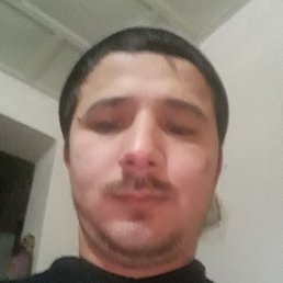 ����������, �����-���������, 37 ���