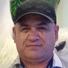 ����, �����-���������, 37 ���