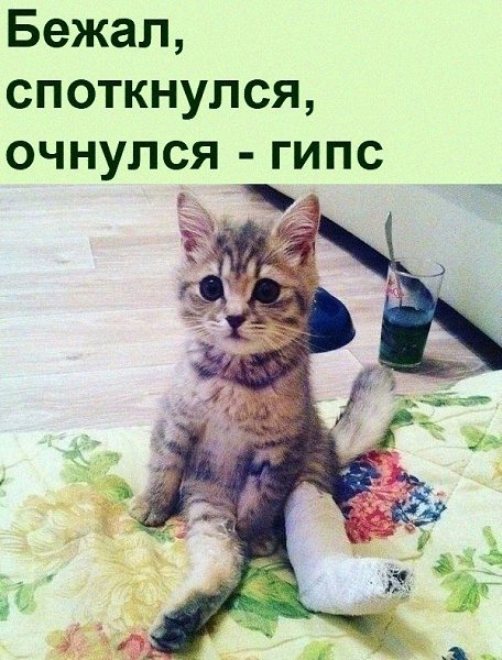 �������� ����