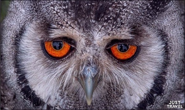 ���e � �e�a����e co��. �a ��o-�o �p������. #art #travel #world - 2