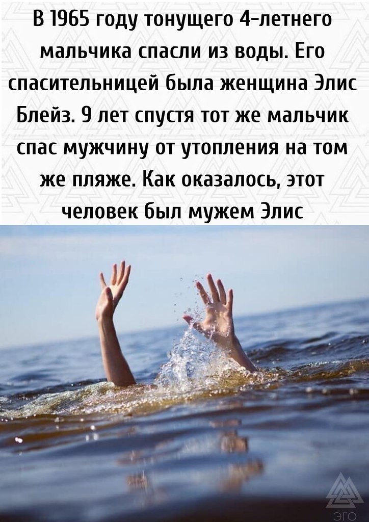 ������ ����