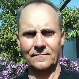 ��������, �����������, 62 ����