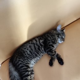 ���� �����, ������, 53 ���� - ��������� 31 ������� 2022