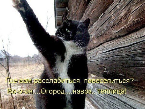    - 9  2022  04:22