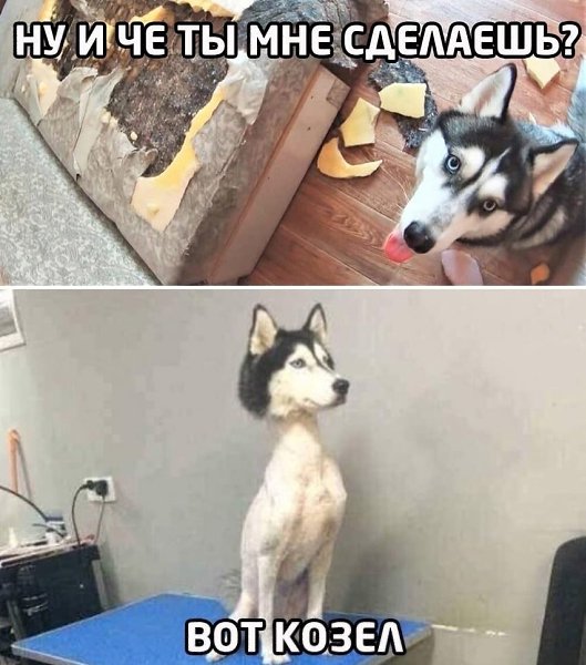 ***Victoria Viktorovna*** - 17  2022  02:01