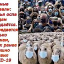 ���� ���������, �������, 63 ���� - ��������� 5 ���� 2022 � ������ ������ ��������