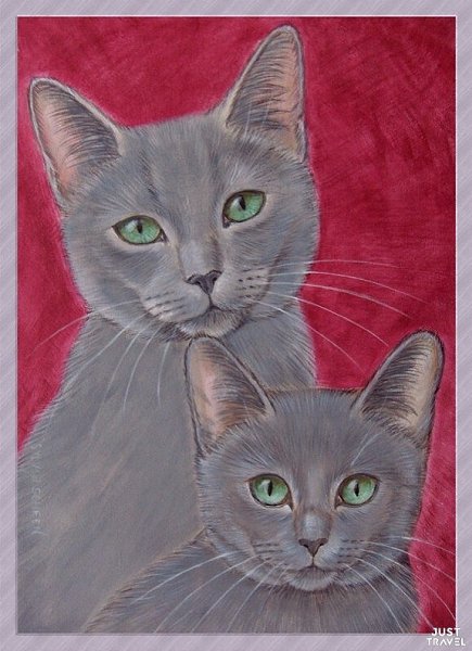ОТОЖИОИСЬ. oллaндcкaя худoжницa Sylvia Schееn. #art #travel #world