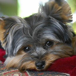 ���� ������, ������������, 61 ��� - ��������� 24 ������� 2022