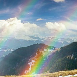 ����, �������, 44 ����