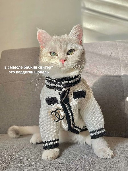 ����� ������� �� ����� � ����