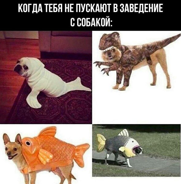    - 10  2023  23:24