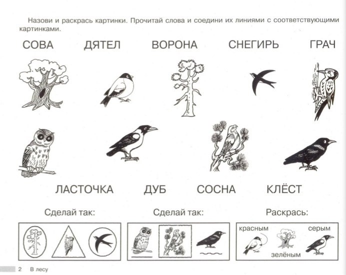 Альбом для профилактики дисграфии. Визуальные ряды. - 3