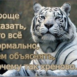 ���� ����, ����, 51 ��� - ��������� 23 ������� 2022