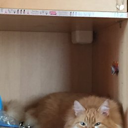 ����, ������, 25 ���